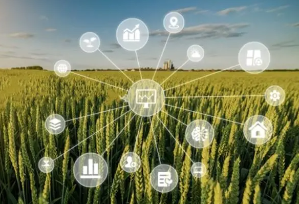 实现智慧农业的关键—农业大数据