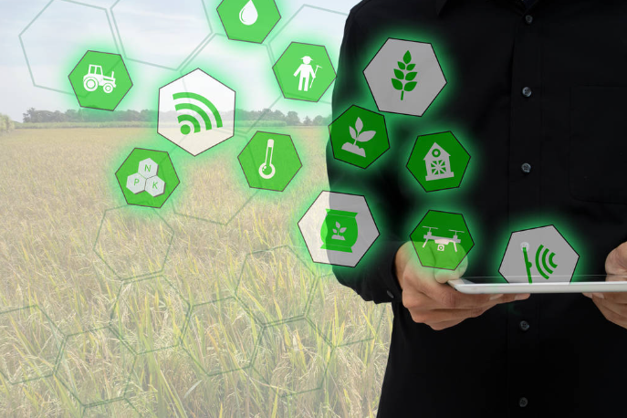 人工智能在农产品行业的应用和影响