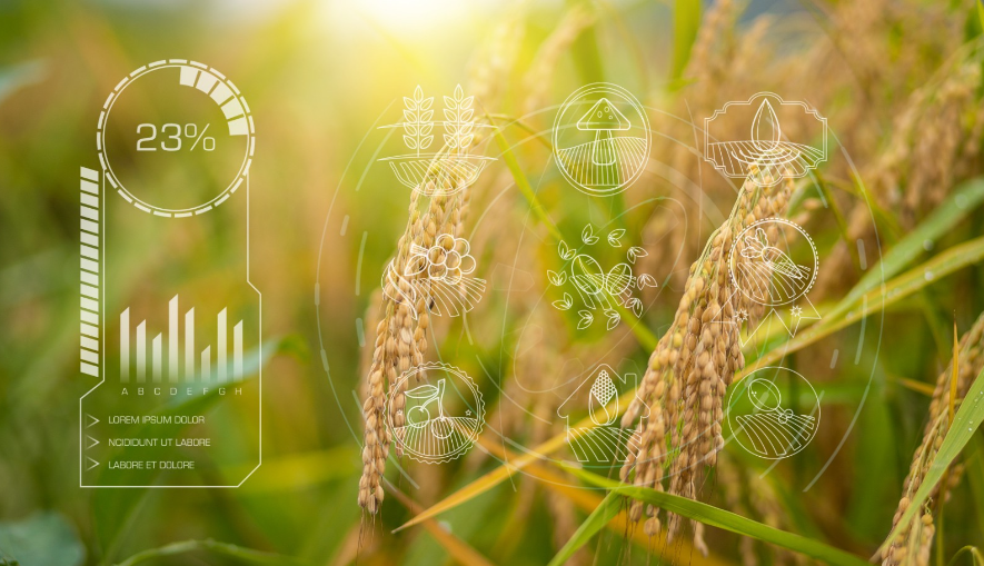 如何用新质生产力引领农业发展？