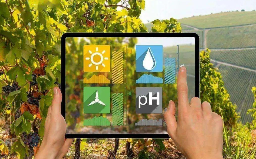 农业大模型：关键技术、应用分析与发展方向