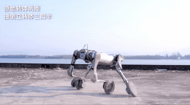 微信图片_20250121104054.gif