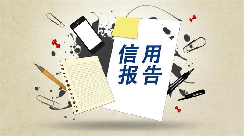 国家发展改革委 公安部 国家数据局关于全面推行以专项信用报告替代有无违法违规记录证明的通知