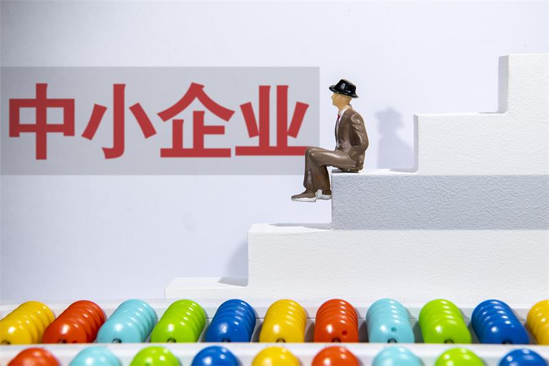 《2024年度中小企业发展环境评估报告》发布（附图解）