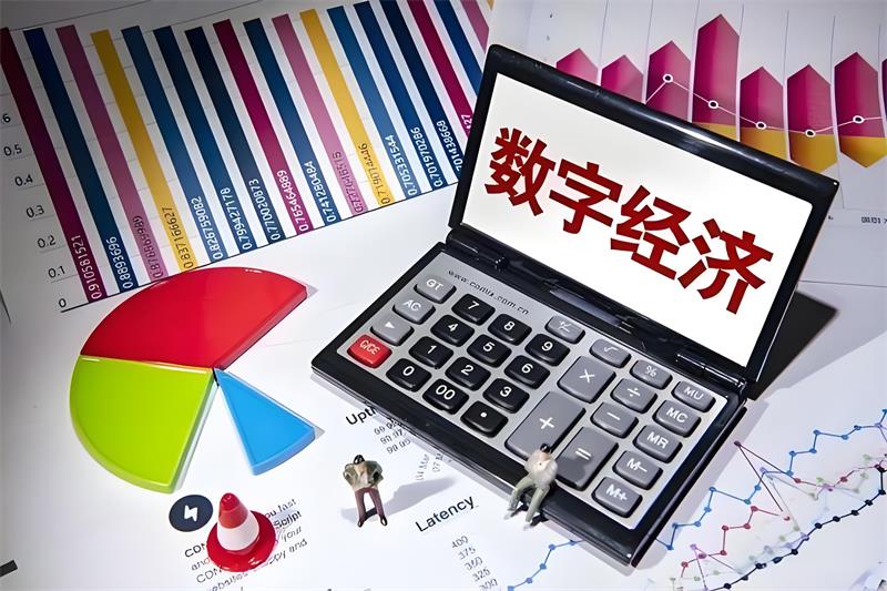 一图读懂 | 关于加强数字经济创新型企业培育的若干措施