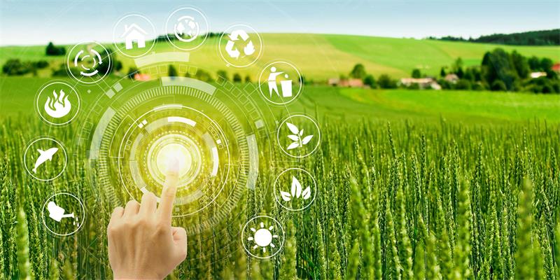 乡村治理数字化如何克服“水土不服”