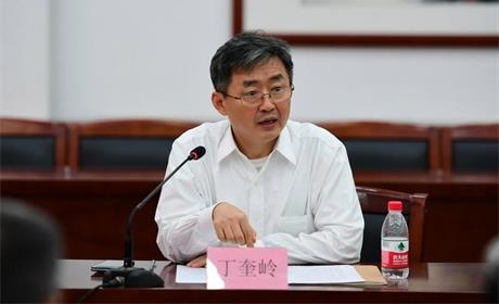 中国科学院院士,上海交通大学校长丁奎岭:推动人工智能赋能教育科技人才一体化改革