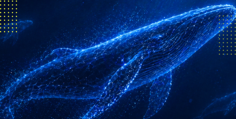 16 个月后，DeepSeek 已不是孤身走暗巷