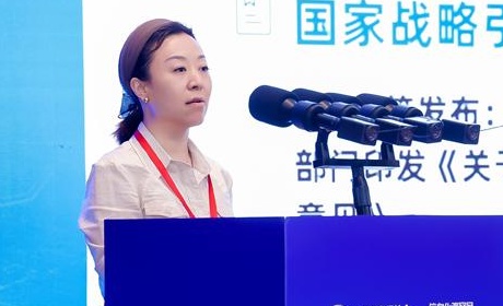 交通运输部科学研究院科技资源与技术交流研究中心主任黄莉莉：大模型赋能交通政务服务背后的非传统安全隐忧