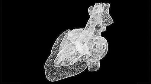 自学成才让人工智能预测心脏病发作