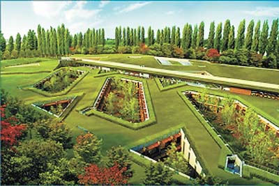 专访卢幸福：专利雨水回收装置，强势推进生态城市建设