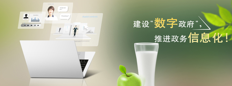 中共上海市委办公厅、上海市人民政府办公厅印发《关于全面推进政务公开工作的实施意见》的通知