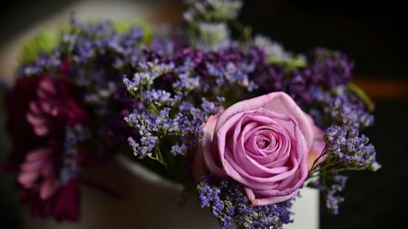 鲜花电商，谁会成为下一个百亿市场独角兽？