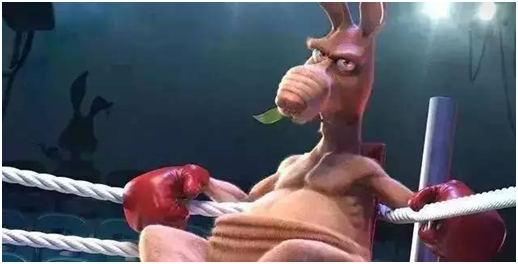 网闸也不安全——中情局用“野蛮袋鼠”就能渗透内网