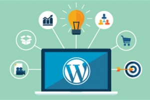 生鲜电商市场已然进入了寡头争霸的下半场，我买网携手黄渤试水短视频