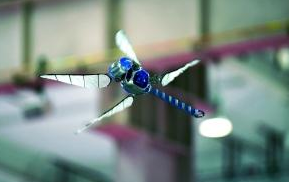 亦庄吸引了越来越多类似费斯托这样的智能制造企业入驻