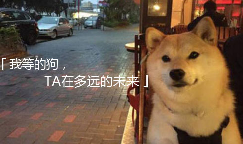 七夕单身狗生存指南，阿里巴巴大数据让你免受暴击