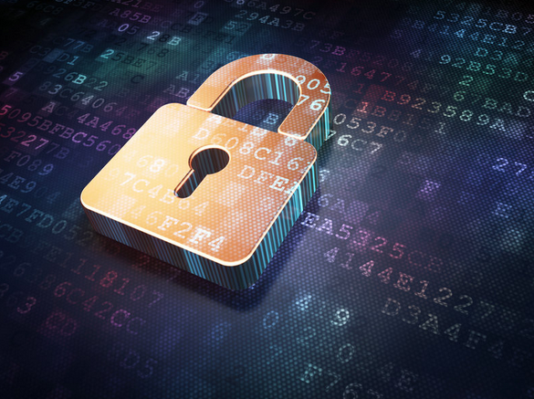 信息安全技术竞赛已启动 构筑上海成为高技能人才培养基地