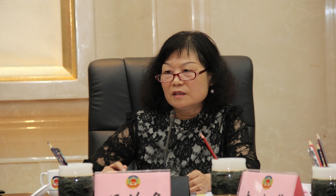 邢苗条:创建陕西“跨境电子商务综合试验区”