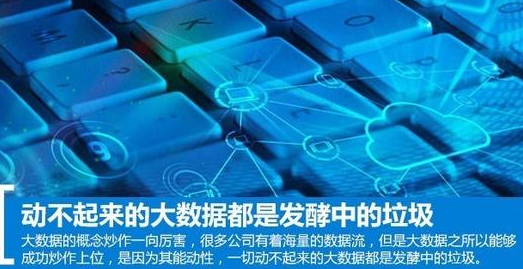 动不起来的大数据都是发酵中的垃圾