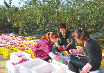 电商平台多快好省