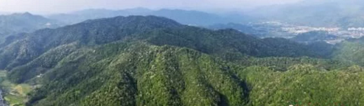 林业局发文促进林业移动互联网发展 鼓励吸收社会投资