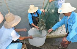 生鲜电商与其他电商相比,其优势在哪?