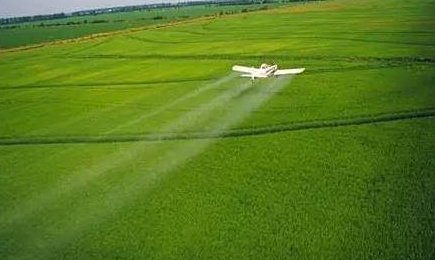 人工智能工程“农业大脑”启动 使用云计算、AI技术