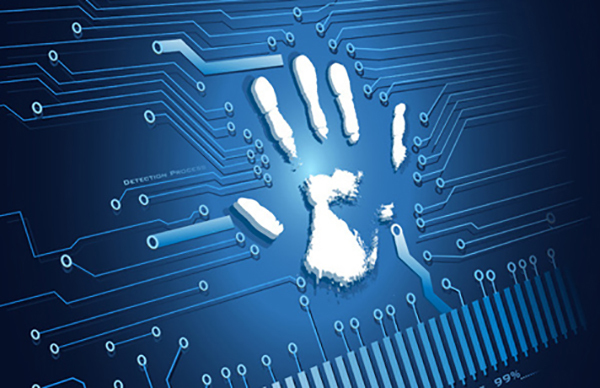 CIO如何应对网络攻击