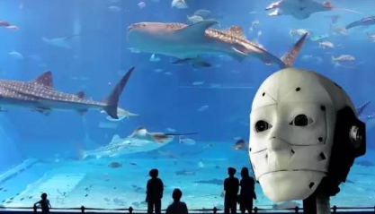 得益于AR和VR发展,2023年5G网用户将达10亿