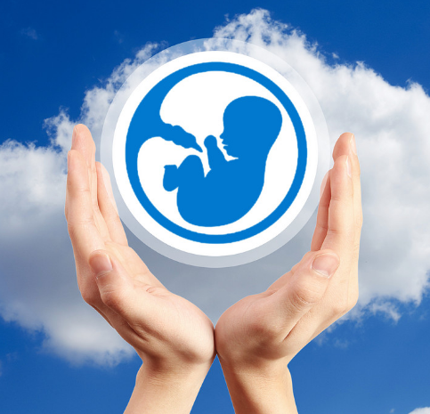 这些互联网高频词将如何影响生活?