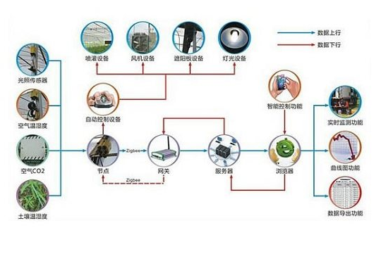 温室大棚利用物联网技术使得种植变得更精准高效