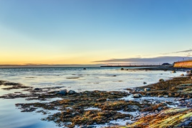 加拿大电信商Telus公司推迟其数据中心的扩建计划