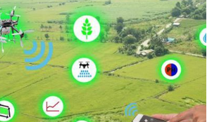 传统业务触电“互联网+” 浦发银行推出互联网版纪念日存单