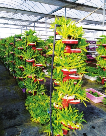 物联网让农业智慧运营 兰州市榆中县力争粮食总产量稳定在1.7亿公斤以上