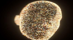 脑科学助力人工智能，离不开大数据