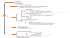智慧城市系列|为什么说微信和支付宝的乘车码不如想象中方便?