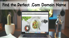 移动时代域名布局之道