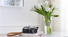 花加王柯：如何打造一个一天生产80万束的鲜花电商