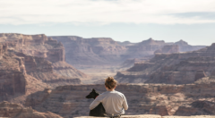 2017互联网：谁不是一边成为历史，一边忙着再造自己？