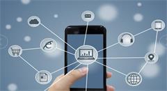 让泛互联网之树“根深叶茂”