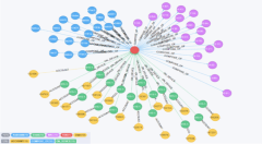 运用大数据构建联合惩戒机制 湖南严格规范公共资源交易