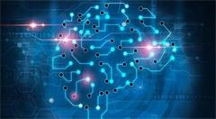 聚焦聚力 推进农业大数据发展应用