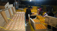 广西农村电商打造壮乡新貌助推扶贫攻坚