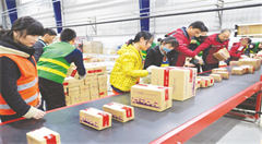 新区跨境电商为何成“香饽饽”？