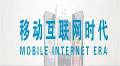 促进我市移动互联网产业发展