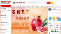 借助“互联网+”东风,临潼石榴红遍世界