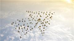 福建运用“互联网思维”,提高旅游业发展创新能力