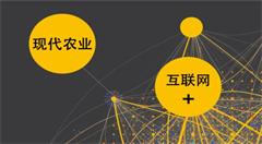 “互联网+现代农业”带领陕西农民脱贫致富