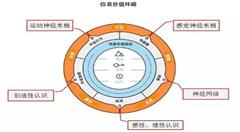 物联网的价值,是因为信息成“环”