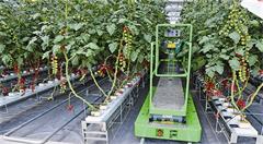 物联网助力青岛打造“智慧农业”